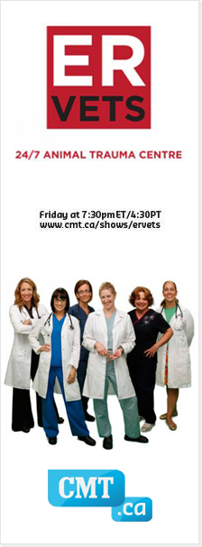 ER Vets